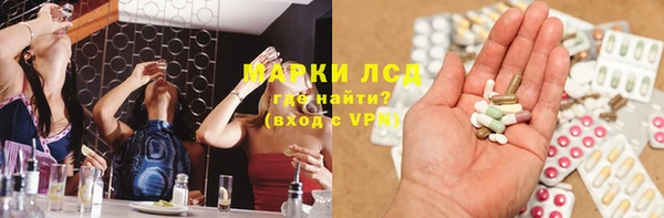 шишки Корсаков