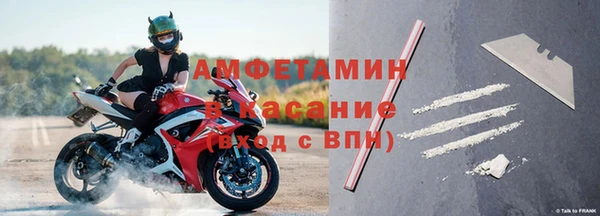 шишки Корсаков