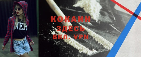 ГАЛЛЮЦИНОГЕННЫЕ ГРИБЫ Костерёво