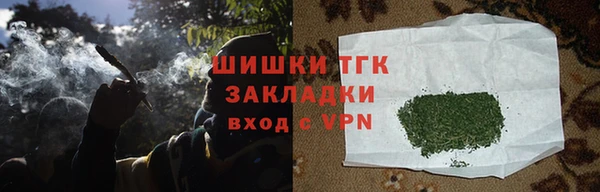 амф Коряжма