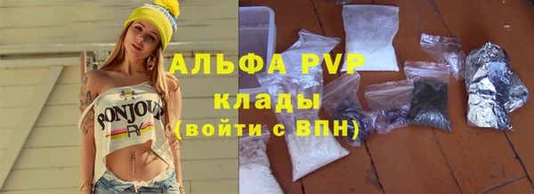амф Коряжма