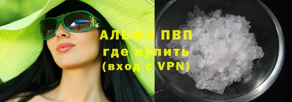 шишки Корсаков