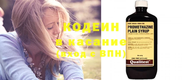 шишки Корсаков