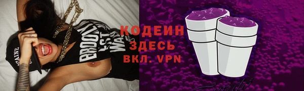 ГАЛЛЮЦИНОГЕННЫЕ ГРИБЫ Костерёво