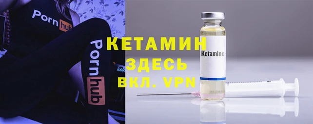 шишки Корсаков