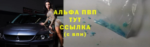 амф Коряжма