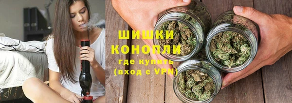шишки Корсаков