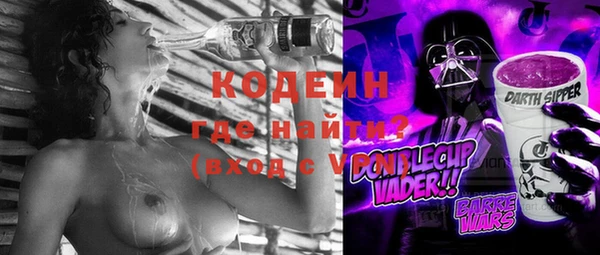 шишки Корсаков