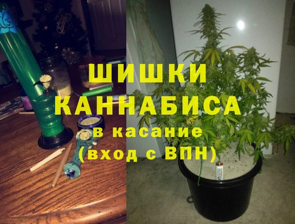 амф Коряжма