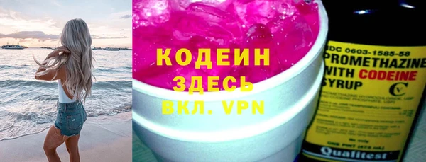 шишки Корсаков