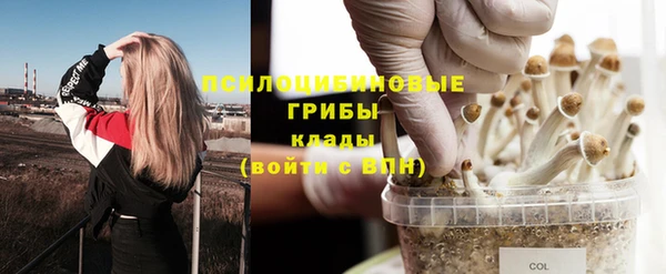 амф Коряжма