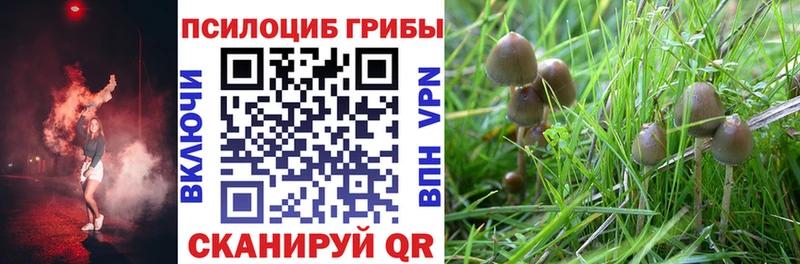 Галлюциногенные грибы прущие грибы  Купить где  Неман 