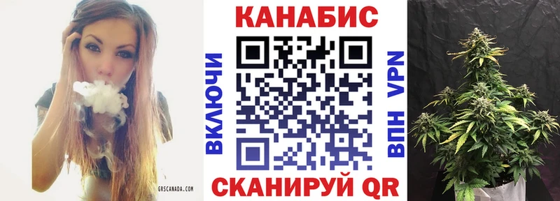 Купить где  Неман  Канабис семена 